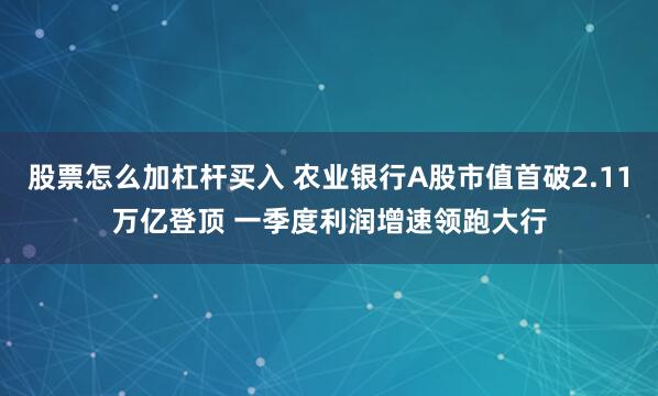 股票怎么加杠杆买入 农业银行A股市值首破2.11万亿登顶 一季度利润增速领跑大行