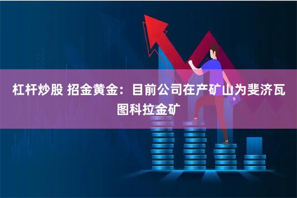 杠杆炒股 招金黄金：目前公司在产矿山为斐济瓦图科拉金矿