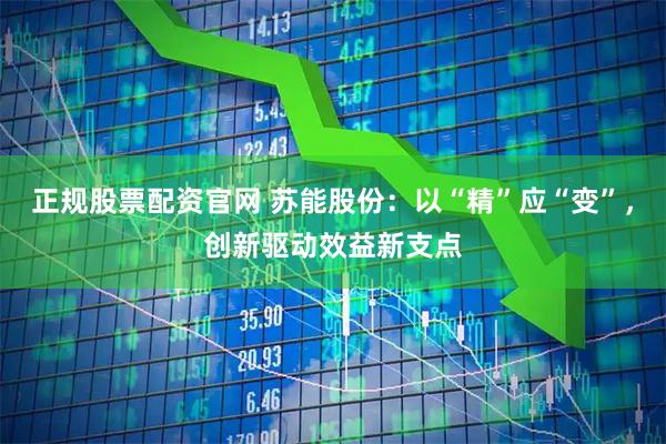 正规股票配资官网 苏能股份：以“精”应“变”，创新驱动效益新支点