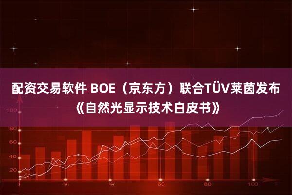 配资交易软件 BOE（京东方）联合TÜV莱茵发布《自然光显示技术白皮书》