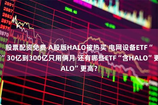 股票配资免费 A股版HALO被热买 电网设备ETF“独苗”30亿到300亿只用俩月 还有哪些ETF“含HALO”更高？